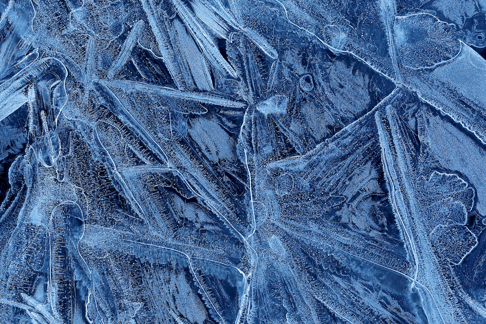Ice life
