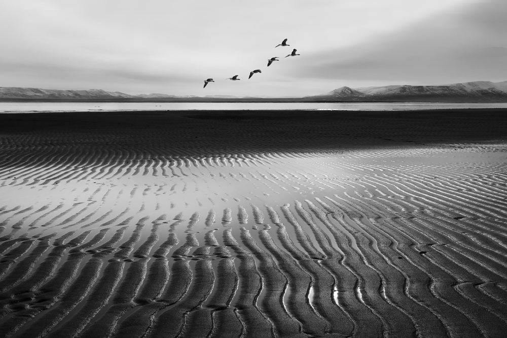 Low tide