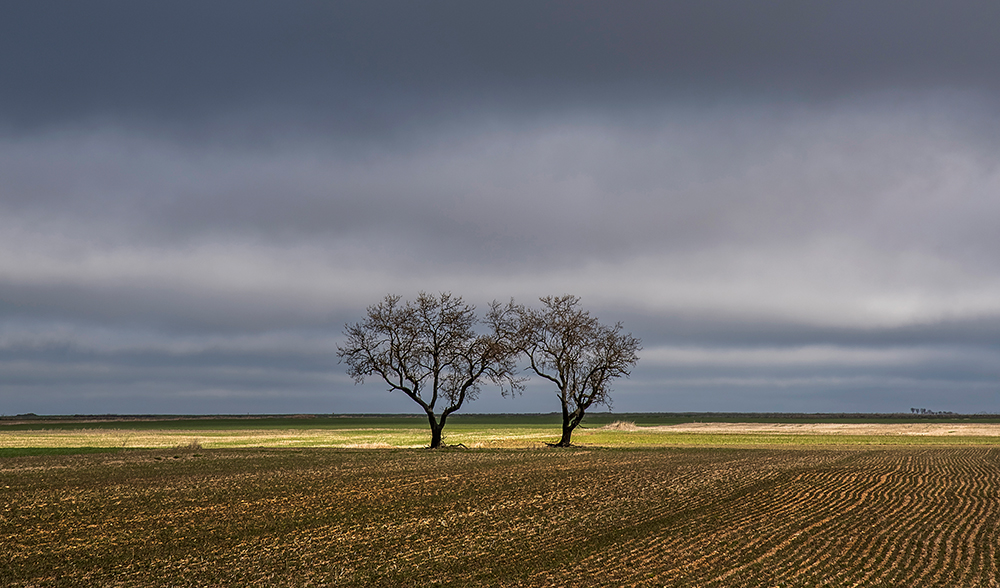 Moving light