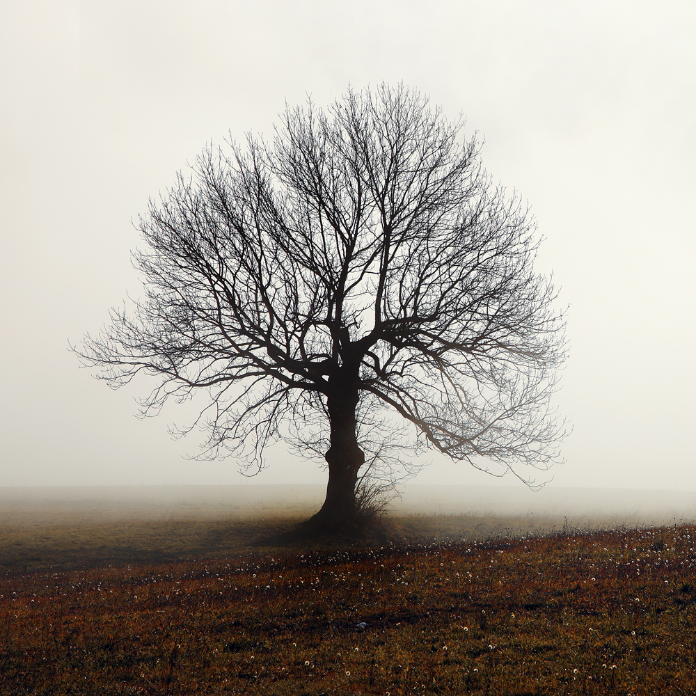 Between two seasons