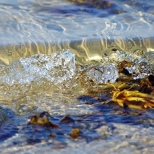 The Art of Water