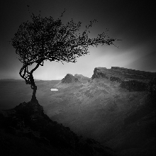 Facing The Deep