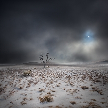 The Land OF THe Midnight Sun