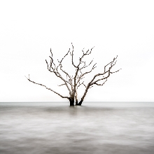ADRIFT