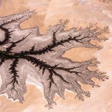 Tidal Flats