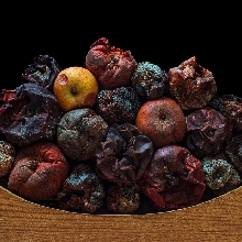 EDIBLE INEDIBLE
