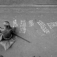 Literature on ground 