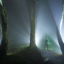 The Fog