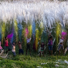 Colourful celebration