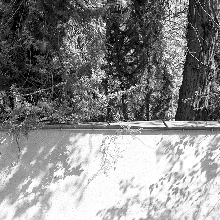 Shadows of Truth