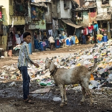Working in Mumbai slum