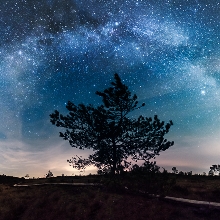 One, two, tree under the milky way