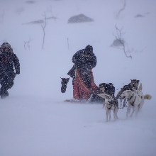  Expedition experience in the Arctic