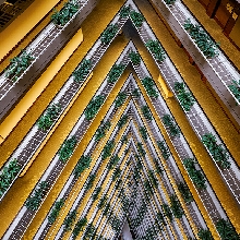 Convergence 1