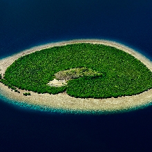 Mangrove islands 2