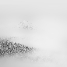 Winter Tenderness