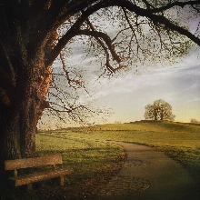 Have a Seat