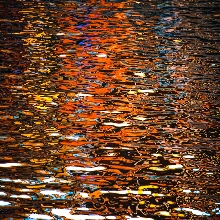 Reflections