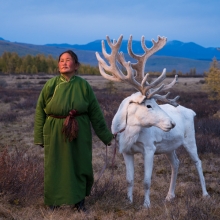 Tsaatan Woman with Reindeer