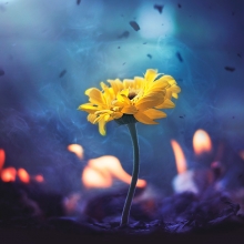 Yet hope remains