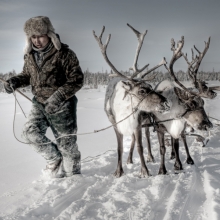 The Boy that Lived on the Tundra