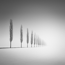 The Trace Of Light