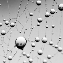 Inside The Web