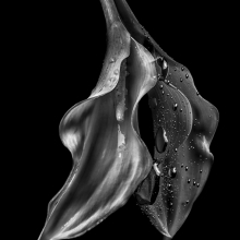 The Purity of Perversion