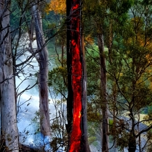 Krambach NSW