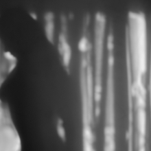 Beautiful Shadow