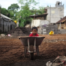 Child sitting in wheelbarrow