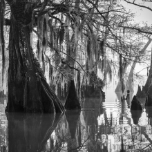 Atchafalaya