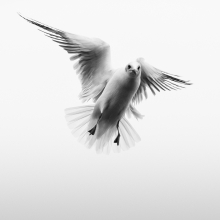 L'Instent Du Silence