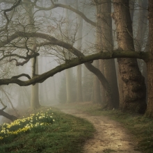 Enter Spring