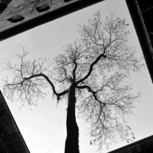 (untitled)