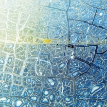 Natural Abstraction