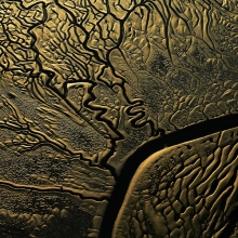 GOLDEN GOLDSMITH