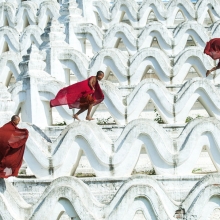 Life of the novic monks