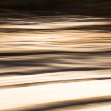 The Waves of Soil