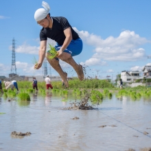 The Levitation Rice Planting