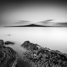 Rangi Dreams