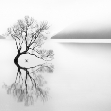 Serenity
