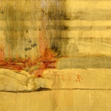Organic Landscapes