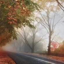 Autumn
