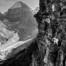 Cliff Walker