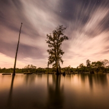 Cypress Moon