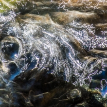 The Secret World of Water