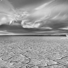 Plastic Landscapes