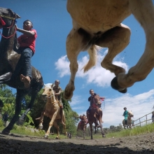 Traditional Race in Lombok