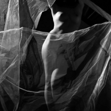 Tangled 